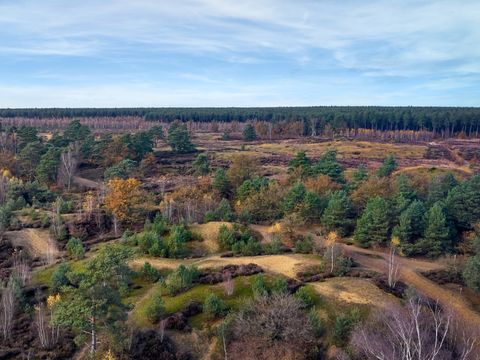 Center Parcs Park Erperheide - Belgisches Limburg - Image N°4